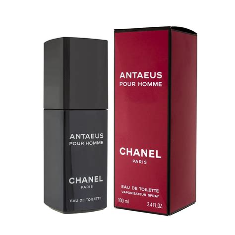 antaeus chanel equivalente|cheapest chanel antaeus equivalent.